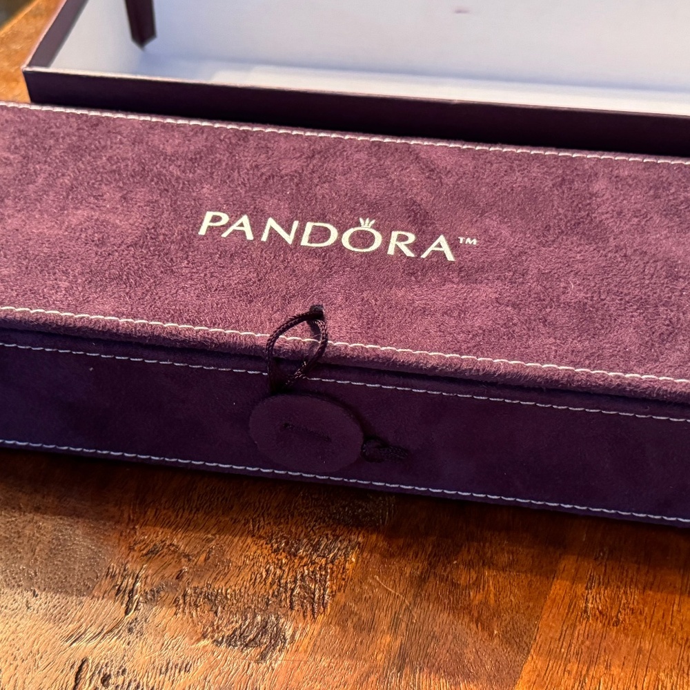 Pandora Jewelry Box.... charms and necklaces